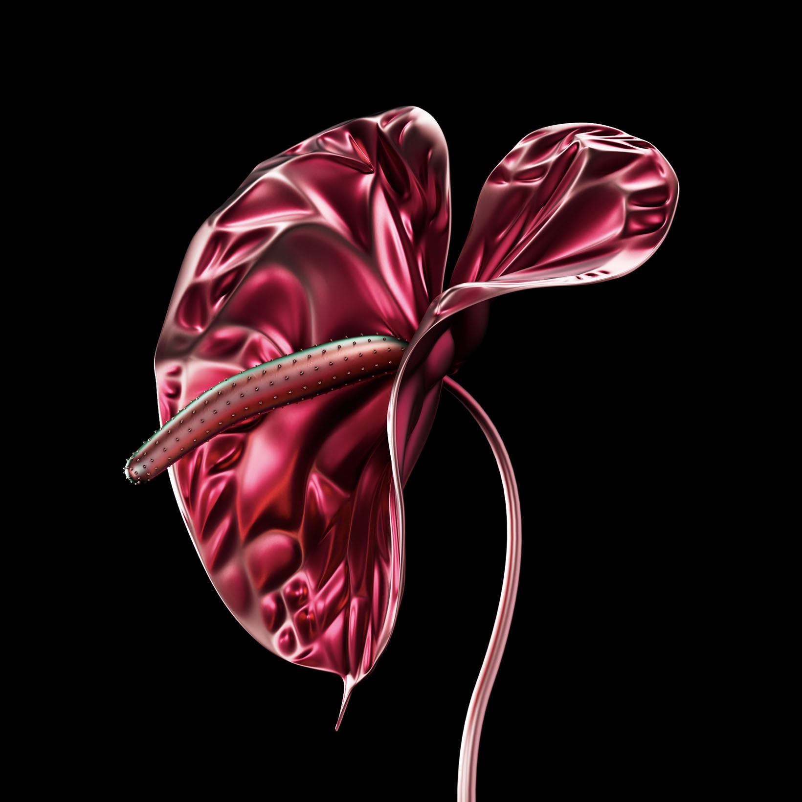 floweraloneArtboard-1-copy